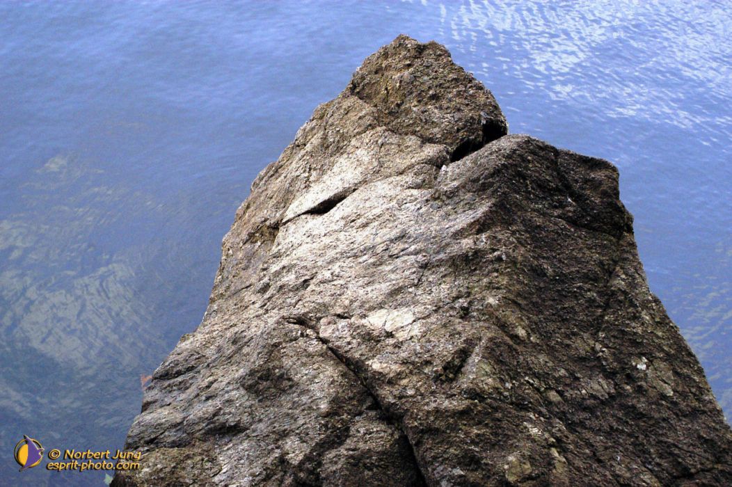 Nom de l'image : D1007120-01_(c)Norbert-JUNG — Description :